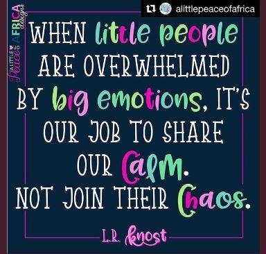 when little people are overwhelmed by big emotions it is our job to share our calm not join their chaos
