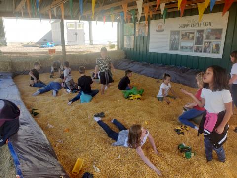 Students in a corn pit. 