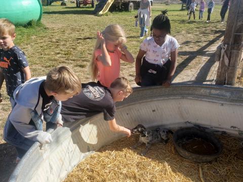Students at the petting zoo. 
