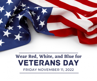 wear red white and blue for veterans day