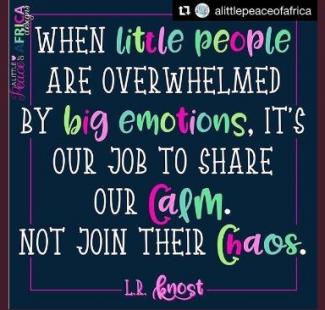 when little people are overwhelmed by big emotions it is our job to share our calm not join their chaos